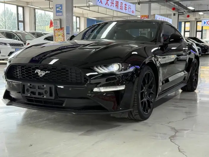 Mustang 2021 Model 2.3T EcoBoost – фото 10