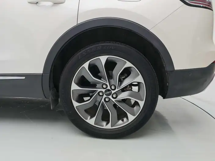 Nautilus 2021 Model 2.0T 4WD Zunya Edition – фото 9