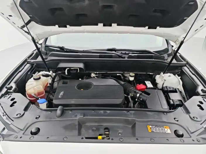 Nautilus 2021 Model 2.0T 4WD Zunya Edition – фото 10