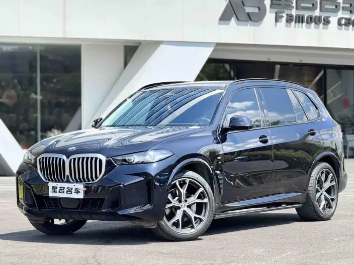 BMW X5 2023 Model xDrive30Li Exclusive Model M Sports Night Set – фото 1