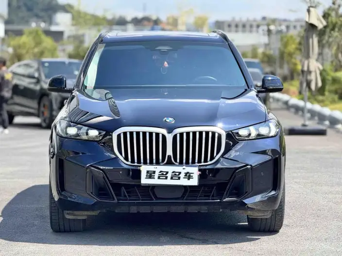 BMW X5 2023 Model xDrive30Li Exclusive Model M Sports Night Set – фото 2