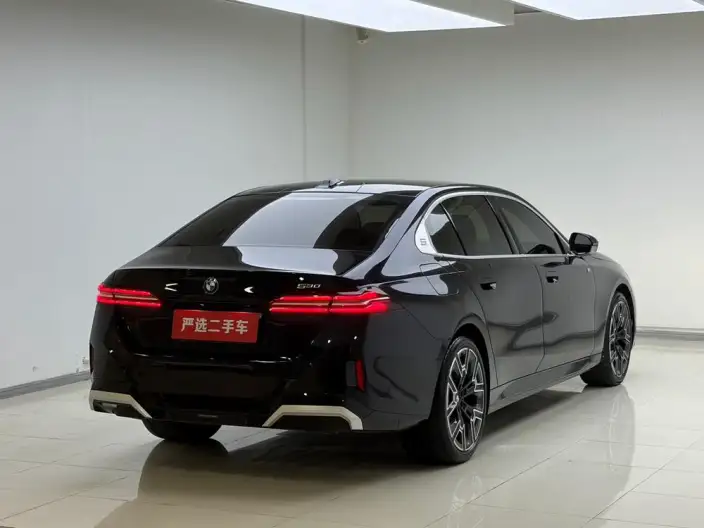 BMW 5 Series 2024 Model 530Li Exclusive Model M Sports Set – фото 6