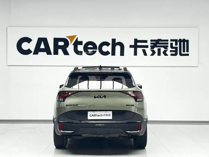 Lion Platinum 2023 Model 2.0L HEV 2WD Ultimate Edition – фото 4