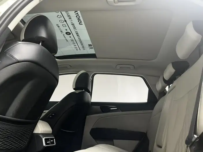 Lion Platinum 2023 Model 2.0L HEV 2WD Ultimate Edition – фото 8