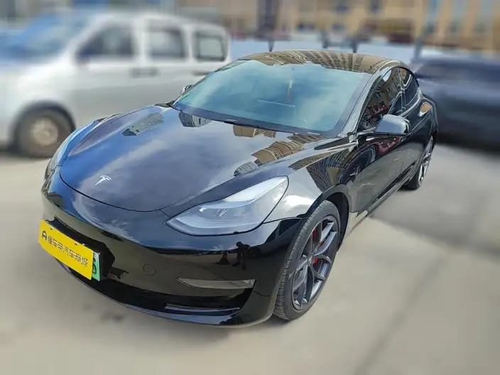Model 3 2022 Model Performance High performance All-wheel drive version – фото 1
