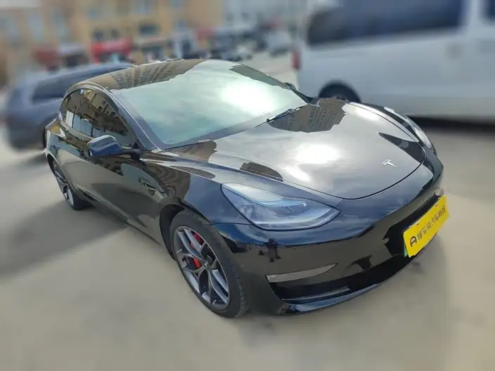 Model 3 2022 Model Performance High performance All-wheel drive version – фото 3