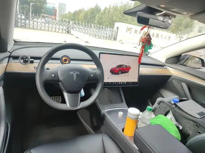 Model 3 2022 Model Performance High performance All-wheel drive version – фото 5