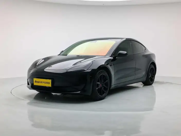 Model 3 2020 Model Facelift Standard Battery Life Rear Drive L Class Edition – фото 1