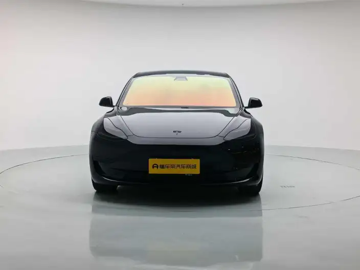 Model 3 2020 Model Facelift Standard Battery Life Rear Drive L Class Edition – фото 2