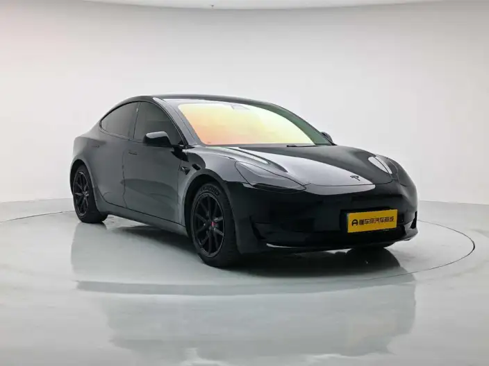 Model 3 2020 Model Facelift Standard Battery Life Rear Drive L Class Edition – фото 3