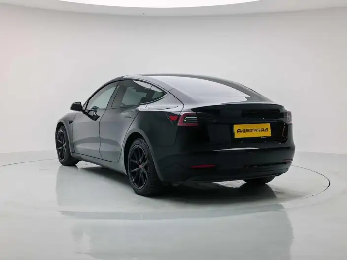 Model 3 2020 Model Facelift Standard Battery Life Rear Drive L Class Edition – фото 5