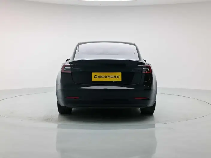 Model 3 2020 Model Facelift Standard Battery Life Rear Drive L Class Edition – фото 6