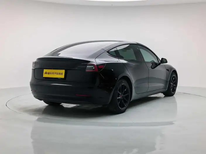 Model 3 2020 Model Facelift Standard Battery Life Rear Drive L Class Edition – фото 7