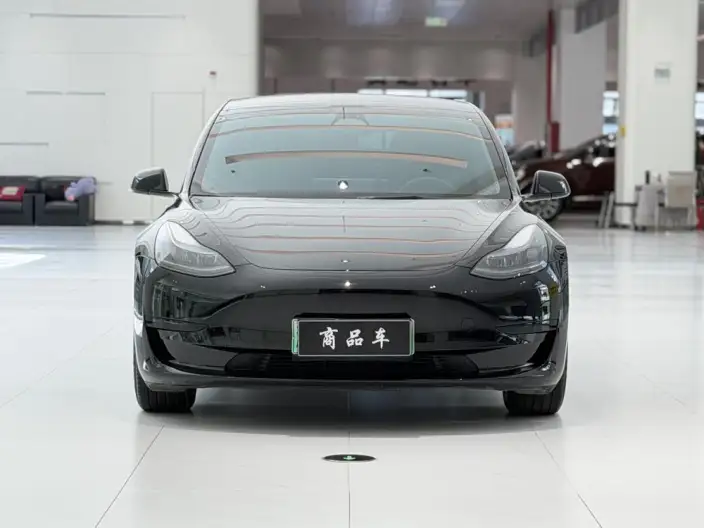 Model 3 2022 Model Rear-wheel drive version – фото 2
