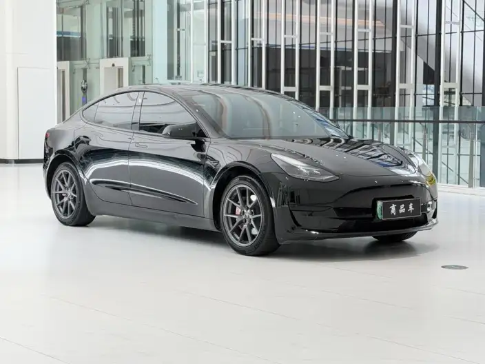 Model 3 2022 Model Rear-wheel drive version – фото 3