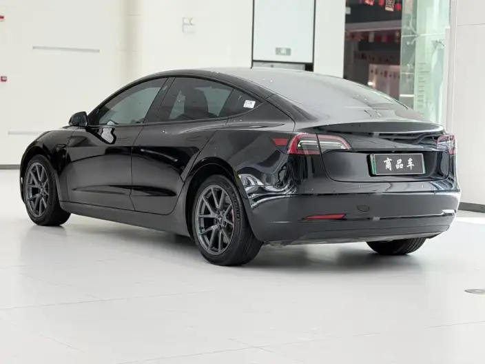 Model 3 2022 Model Rear-wheel drive version – фото 4