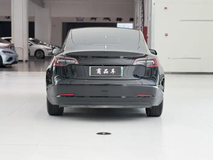 Model 3 2022 Model Rear-wheel drive version – фото 5