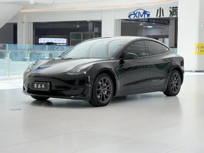 Model 3 2022 Model Rear-wheel drive version – фото 10
