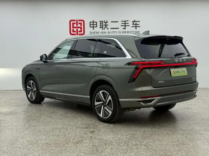 Wey Blue Mountain 2025 Model 4WD Max – фото 4
