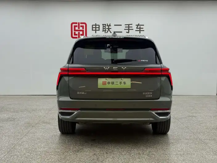 Wey Blue Mountain 2025 Model 4WD Max – фото 5