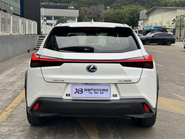 Lexus UX Модель 2020 года 260h Tan · Fun Edition Country VI – фото 4
