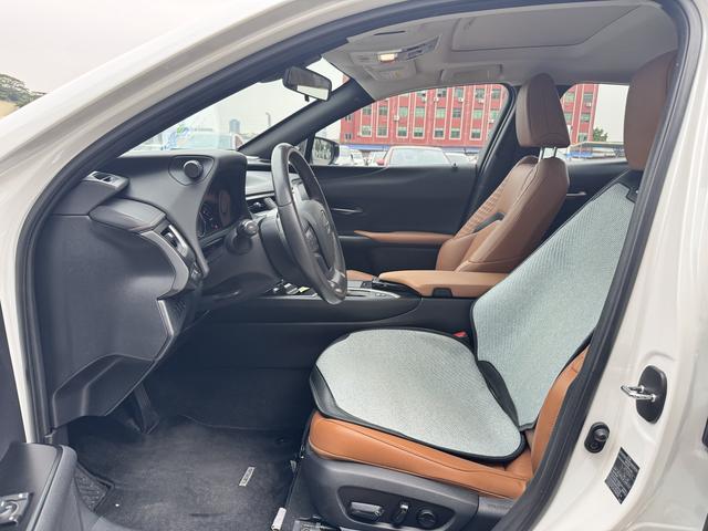 Lexus UX Модель 2020 года 260h Tan · Fun Edition Country VI – фото 10