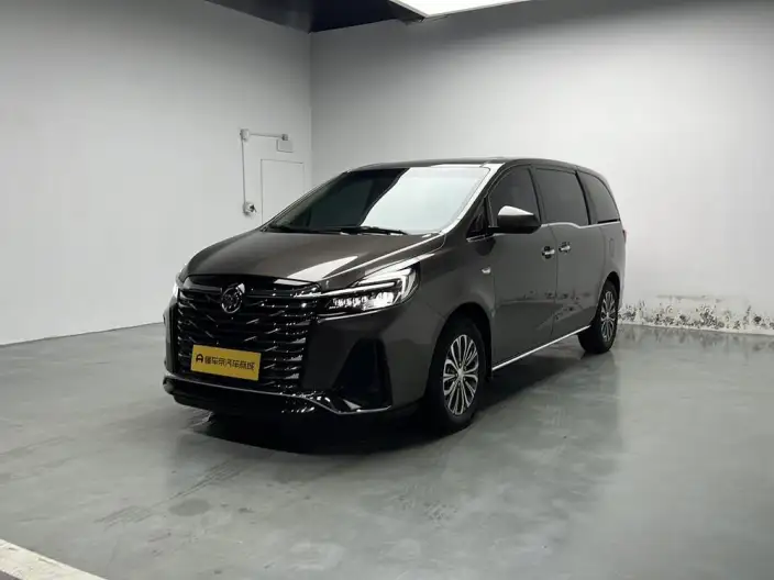 Buick GL8 2023 Model Business class 2.0T Luxury Model – фото 1