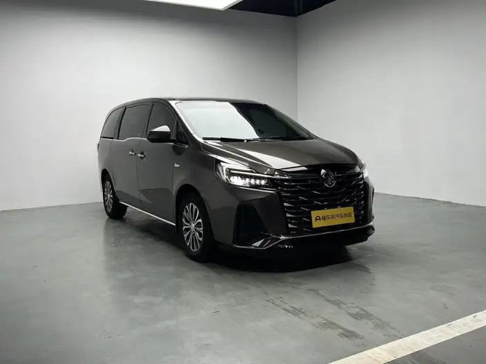 Buick GL8 2023 Model Business class 2.0T Luxury Model – фото 3
