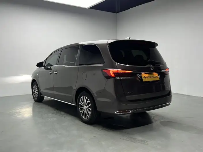 Buick GL8 2023 Model Business class 2.0T Luxury Model – фото 5