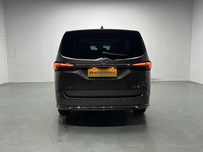 Buick GL8 2023 Model Business class 2.0T Luxury Model – фото 6