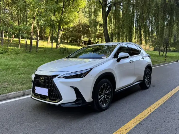 Lexus NX 2023 Model 260 Qian Drive Innovation Drive Edition – фото 1
