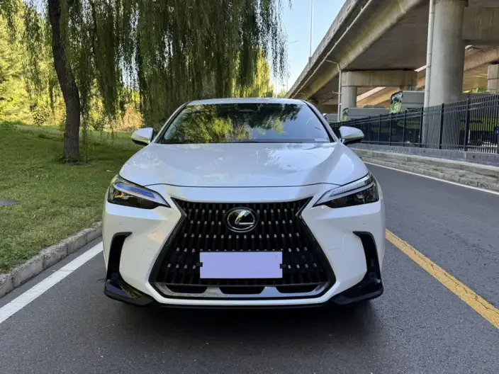Lexus NX 2023 Model 260 Qian Drive Innovation Drive Edition – фото 2