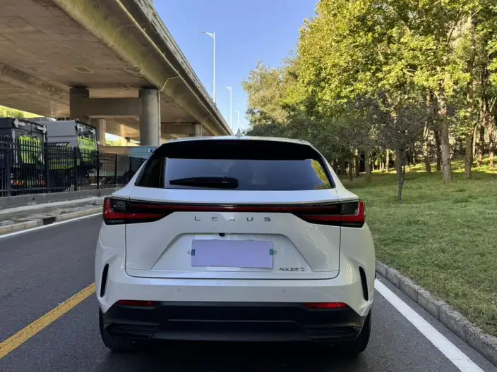 Lexus NX 2023 Model 260 Qian Drive Innovation Drive Edition – фото 4
