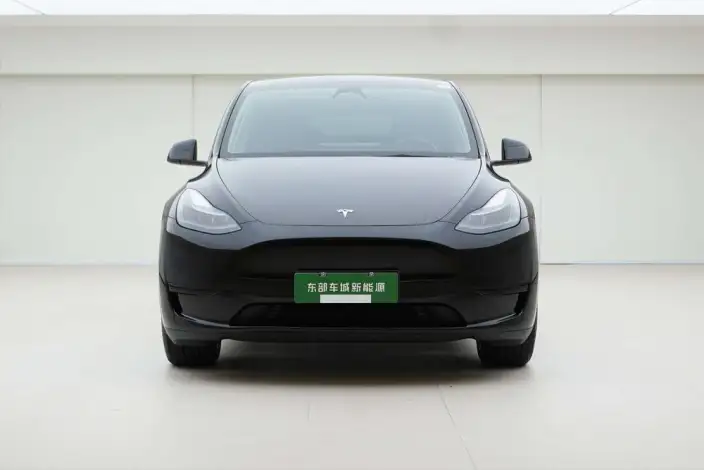 Model Y 2022 Model Facelift Rear-wheel drive version – фото 2