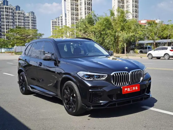 BMW X5 2022 Model xDrive 30Li Exclusive Model M Sports Set – фото 3