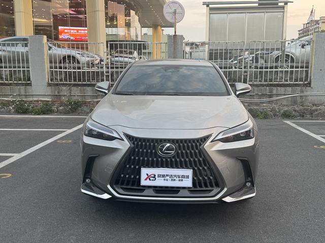 Lexus NX 2025 модификация 200 Qian Drive FUN – фото 2