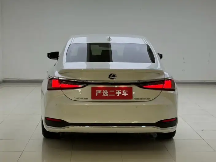 Lexus ES 2022 Model 300h Superior Edition – фото 5