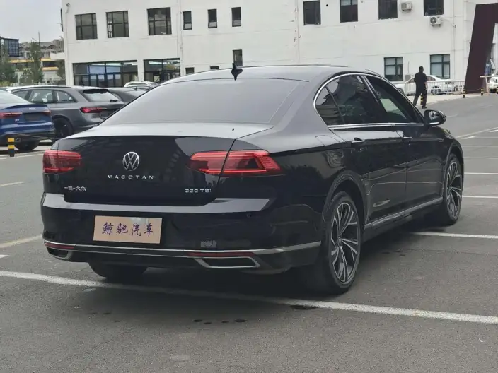 Volkswagen Magotan 2020 Model 330TSI DSG Luxury Model – фото 6