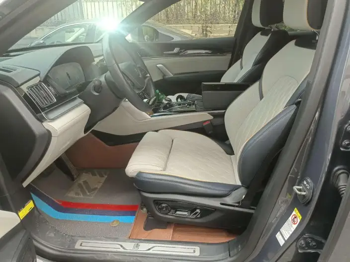 BYD Tang DM 2022 Model DM-i 252KM Exclusive Model – фото 8