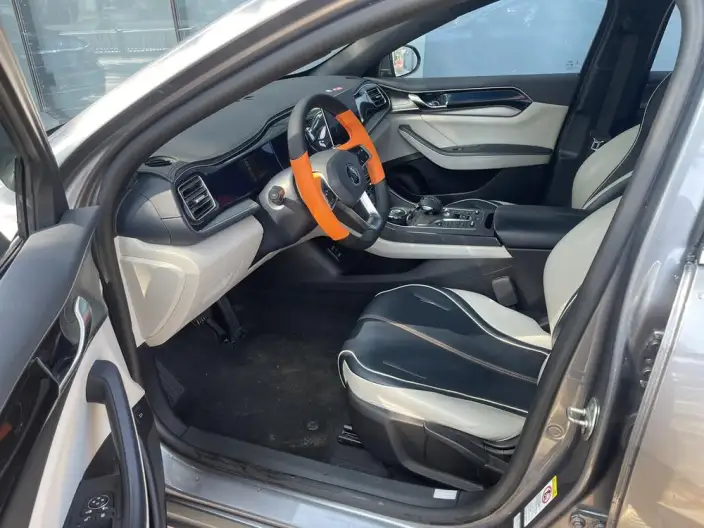 BYD Qin PLUS DM 2021 Model DM-i 120KM Noble Model – фото 8