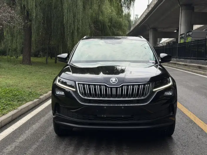 Kodiaq GT 2021 Model TSI380 4WD Deluxe Edition – фото 2