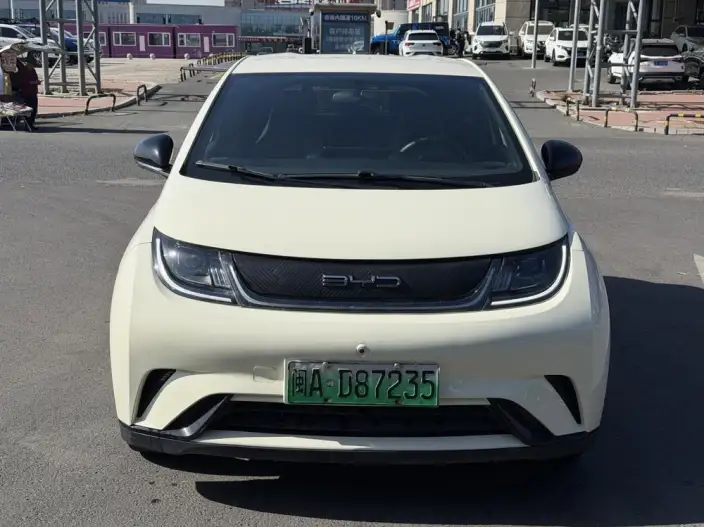 BYD Dolphin 2023 Model Fashion Edition – фото 2
