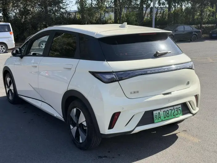 BYD Dolphin 2023 Model Fashion Edition – фото 4