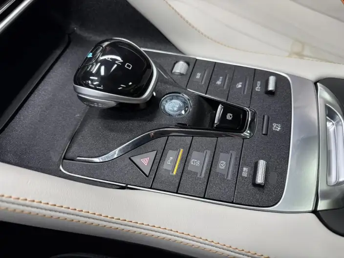 BYD Song PLUS EV 2021 Model Noble Model – фото 7