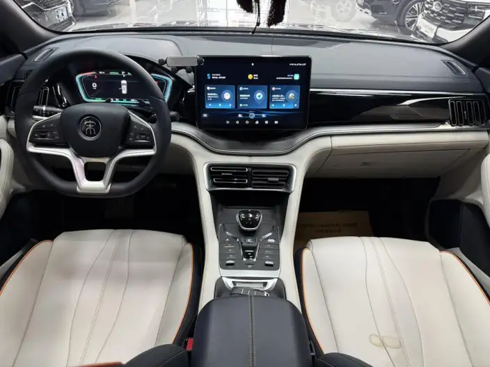 BYD Song PLUS EV 2021 Model Noble Model – фото 10