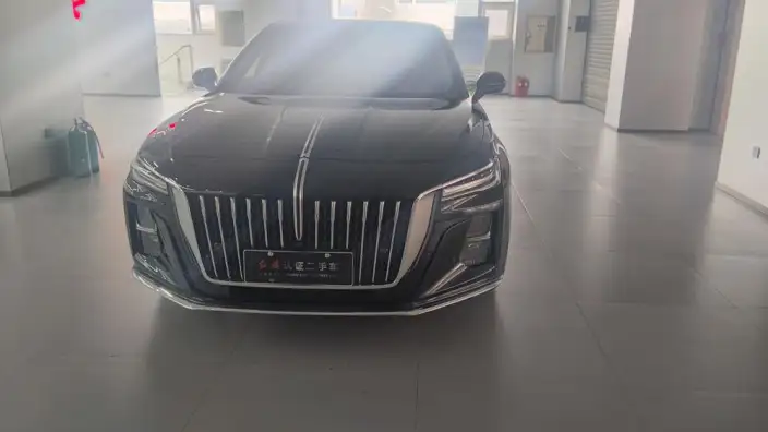Hongqi H5 2023 Model 2.0T Automatic Flag Enjoy Edition – фото 2