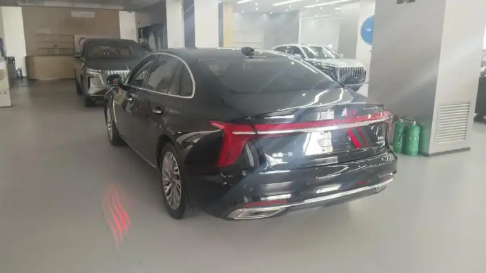 Hongqi H5 2023 Model 2.0T Automatic Flag Enjoy Edition – фото 5