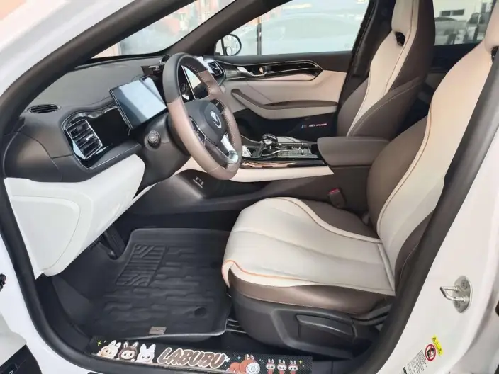 BYD Qin PLUS DM 2023 Model DM-i Champion Edition 120KM Leading Model – фото 8