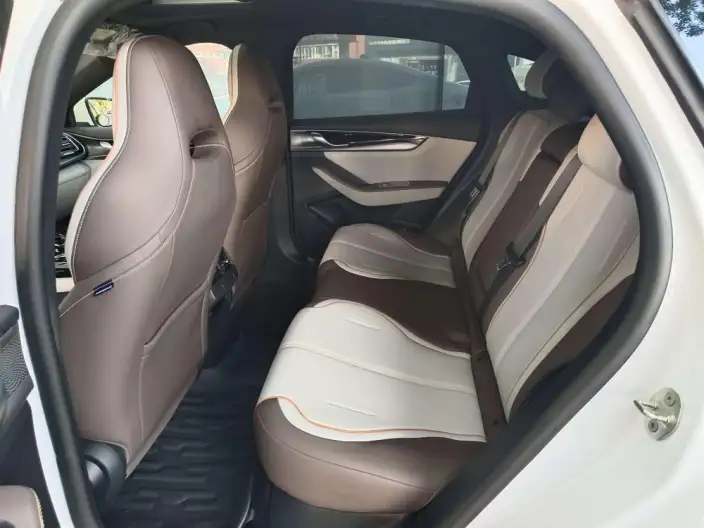 BYD Qin PLUS DM 2023 Model DM-i Champion Edition 120KM Leading Model – фото 9