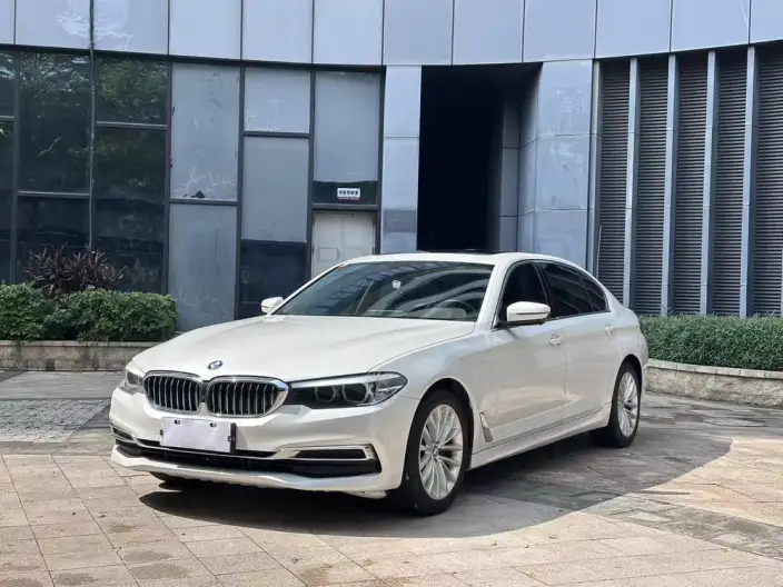 BMW 5 Series 2020 Model 525Li Luxury Set – фото 1